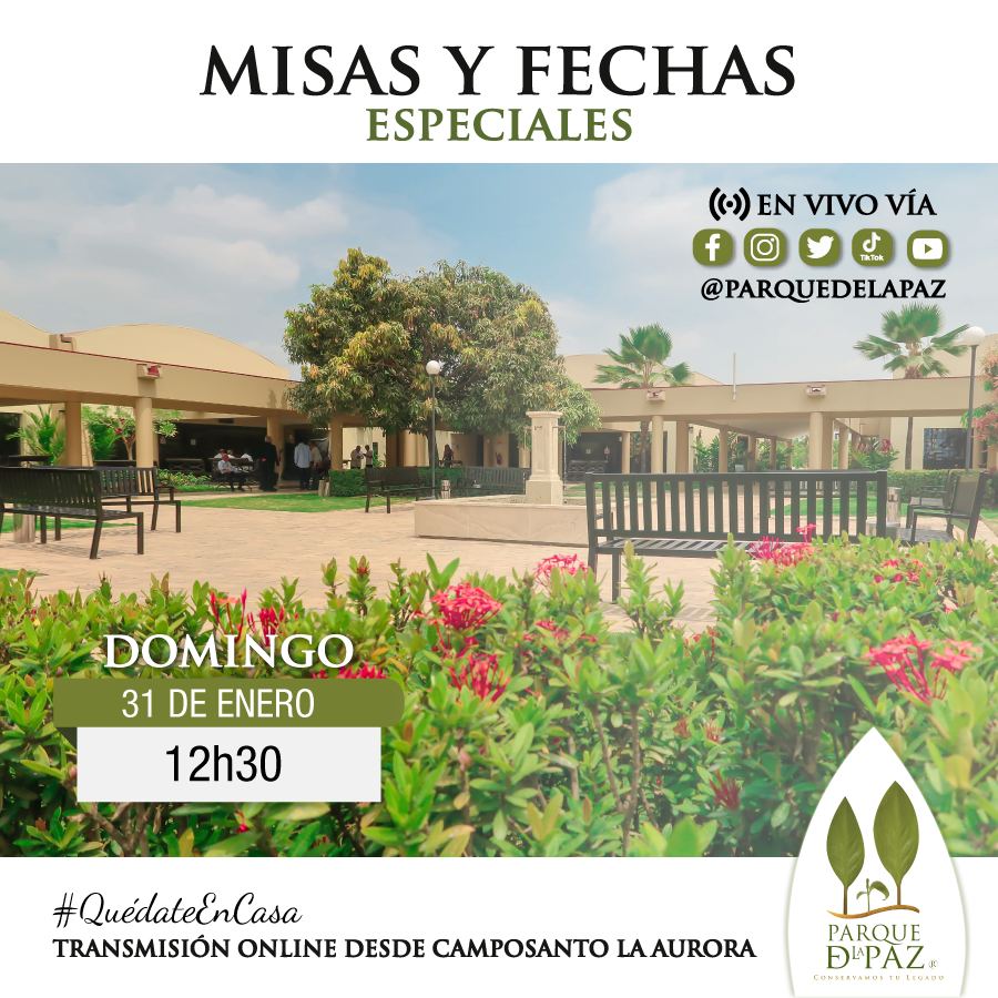 misas y fechas especiales