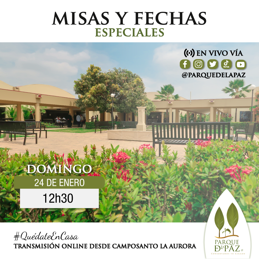 misas y fechas especiales