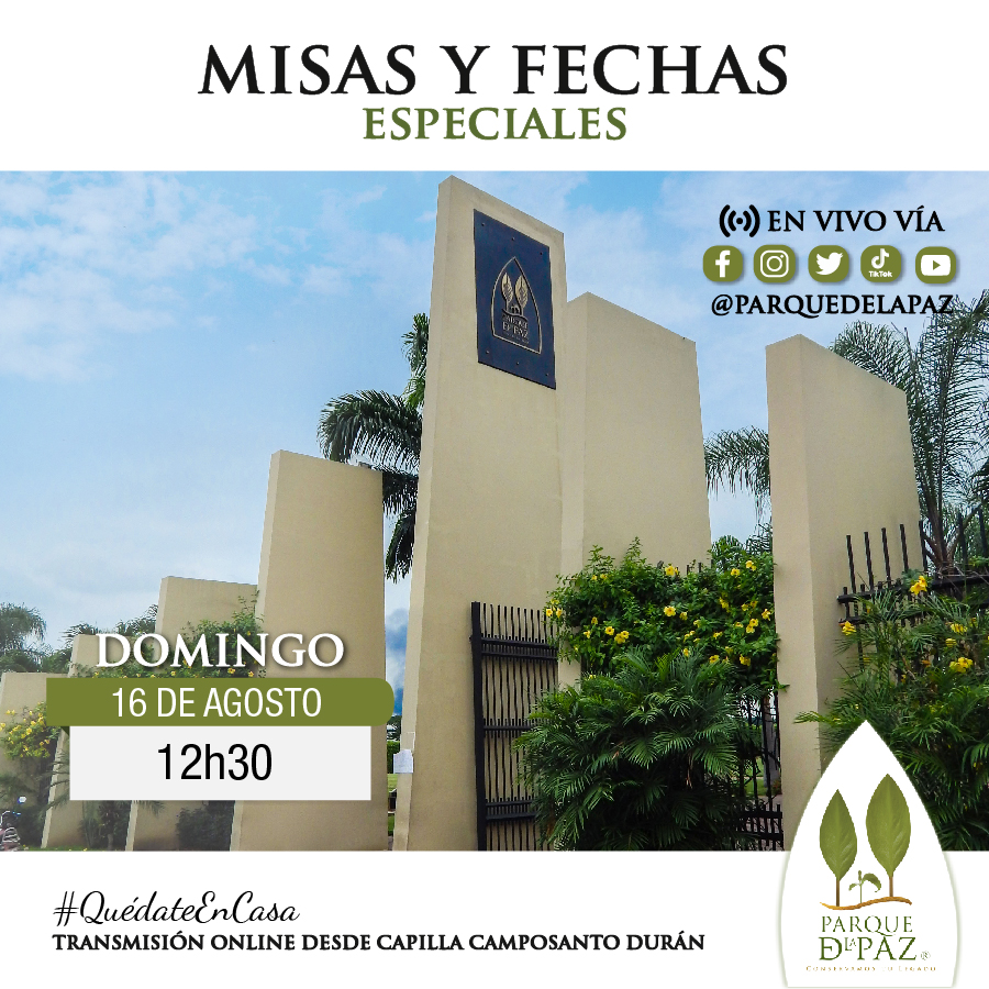 Santa Misa vía online domingo 16 de agosto a las 12h30