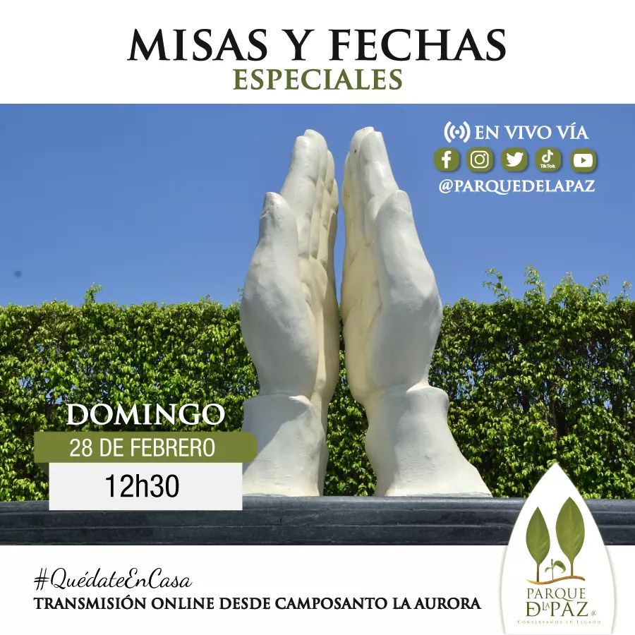 Misas y flechas especiales