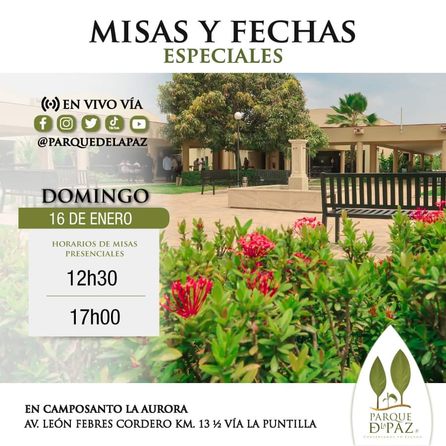 Misas y fechas especiales