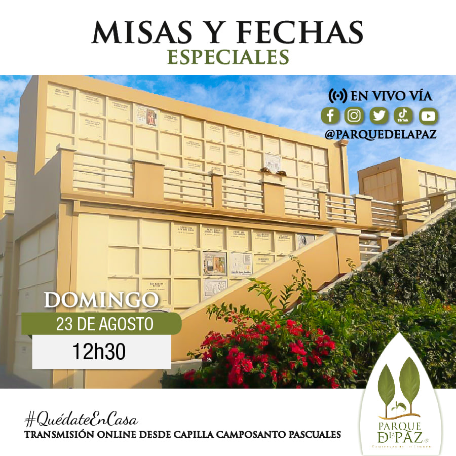 Santa Misa vía online, este domingo 23 de agosto a las 12h30